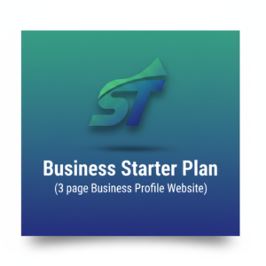 Business Starter Plan / Per Year
